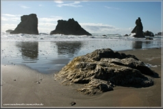 Bandon, OR / Coquille Point