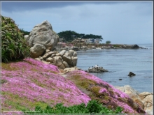 Lovers Point Park / Monterey, CA