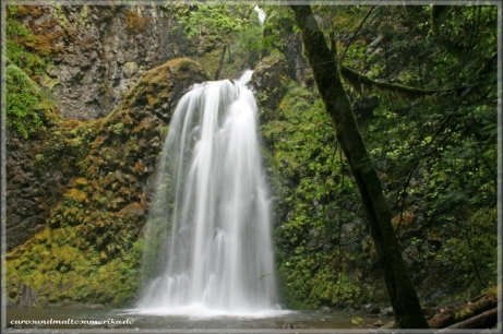 Fall Creek Falls / Oregon
