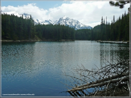 Moose Lake / Jasper NP
