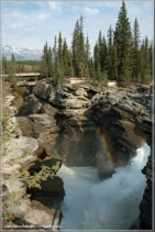 Athabasca Falls / Jasper NP