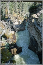 Athabasca Falls / Jasper NP