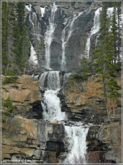 Tangle Creek Falls / Icefields Parkway