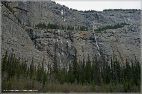 Weeping Wall / Icefields Parkway