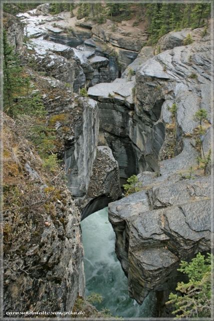 Mistaya Canyon / Banff NP