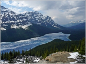 Peyto Lake / Banff NP