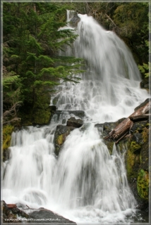 Fall Creek Falls / Mt. Rainier NP