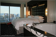 Elara One Bedroom Suite #55-509