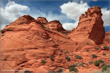 Coyote Buttes South / Paw Hole