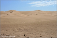 Imperial Sand Dunes 